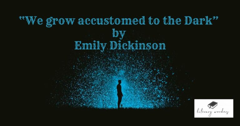 we-grow-accustomed-to-the-dark-by-emily-dickinson-literarywonders